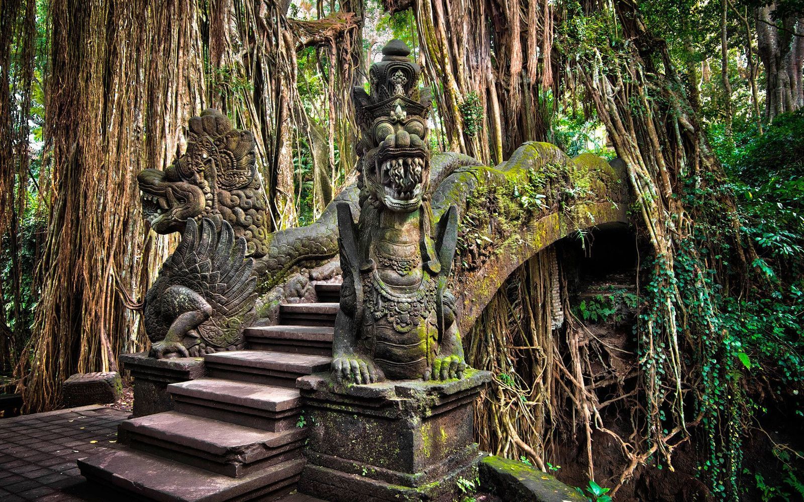 Dragon Bridge - Forest Sanctuary Bali, Indonesia